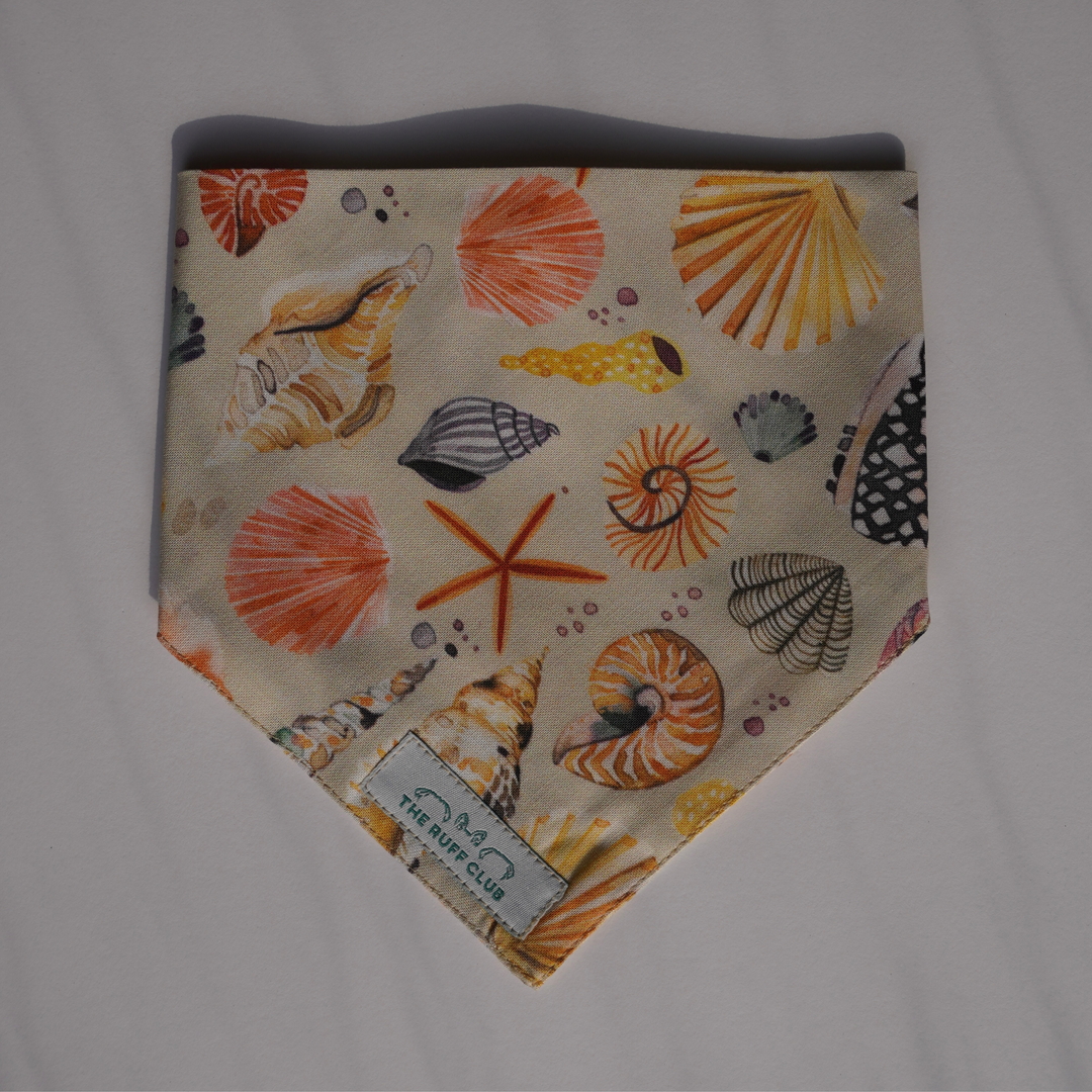 Sandy Paws | Pet Bandana Collection