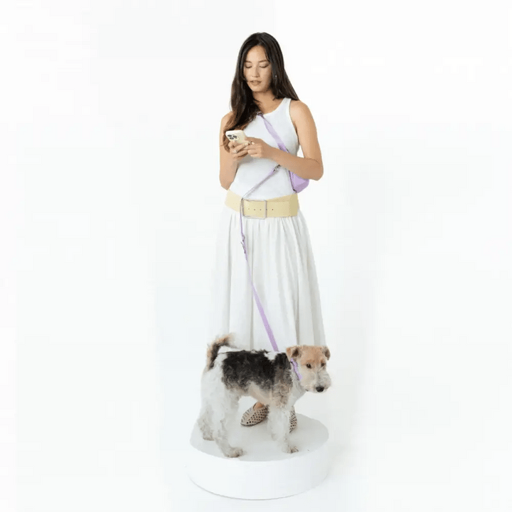 Hands-Free Dog Walking Bag with 4ft Leash