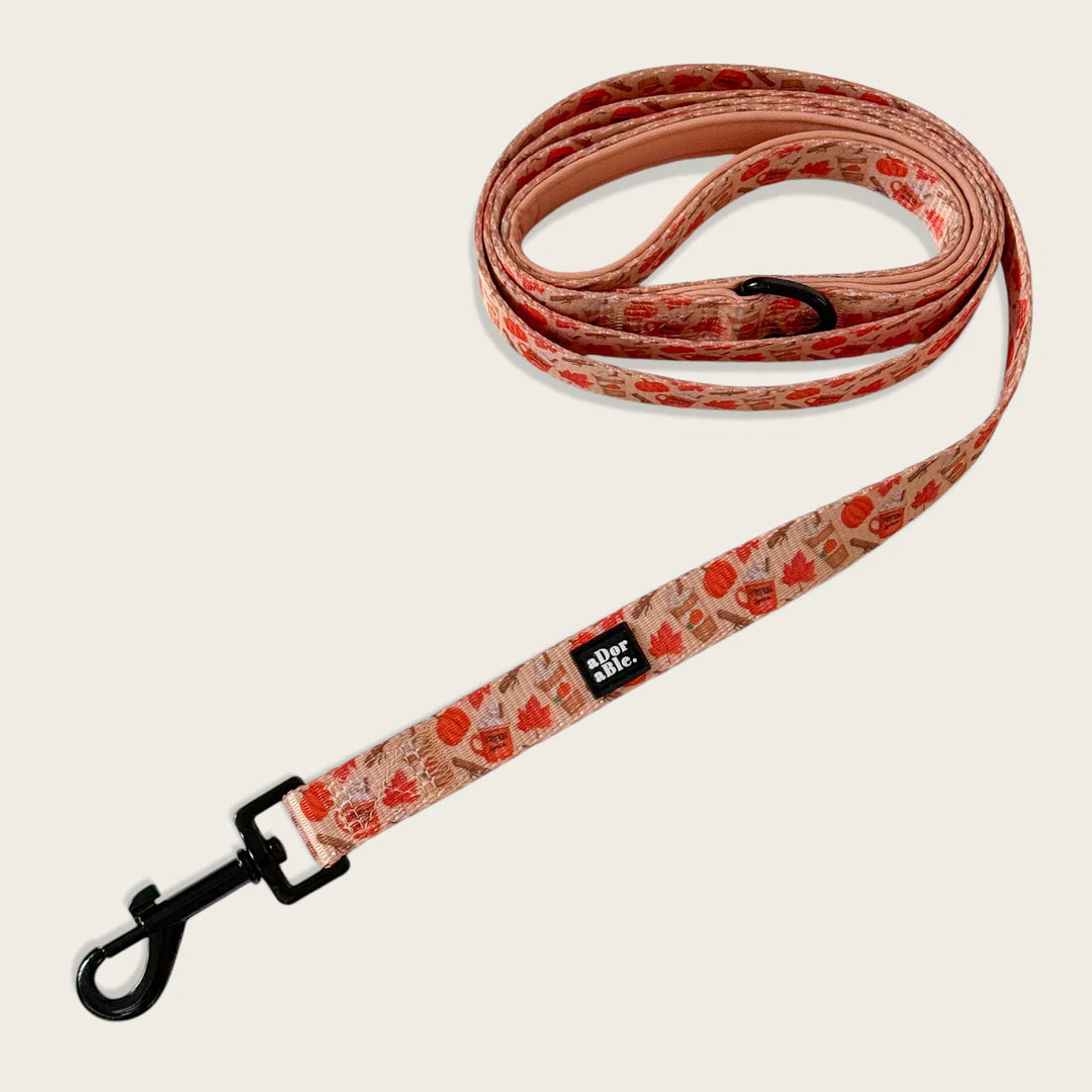 Dog Leash | Pumpkin Harvest