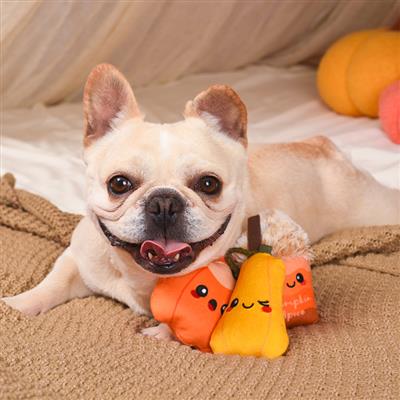 Autumn Tailz — Pumpkin Play