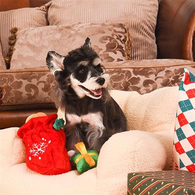 Happy Woofmas — Christmas Gift Bag