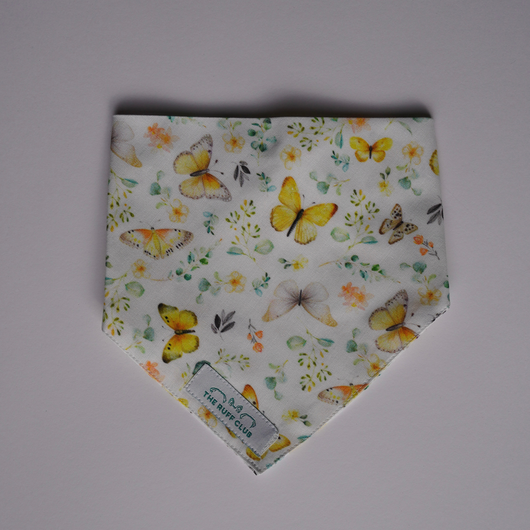 Sunny Flutter | Pet Bandana Collection