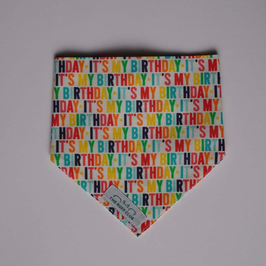 It's My Birthday | Pet Bandana Collection