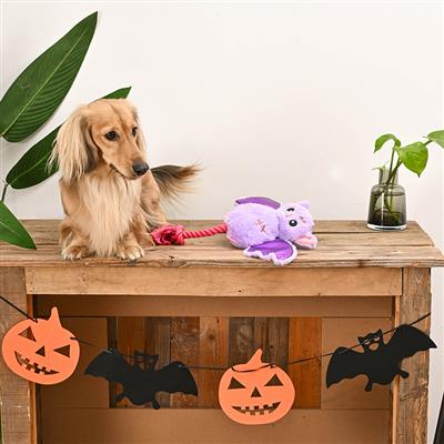Howloween Night – Bat