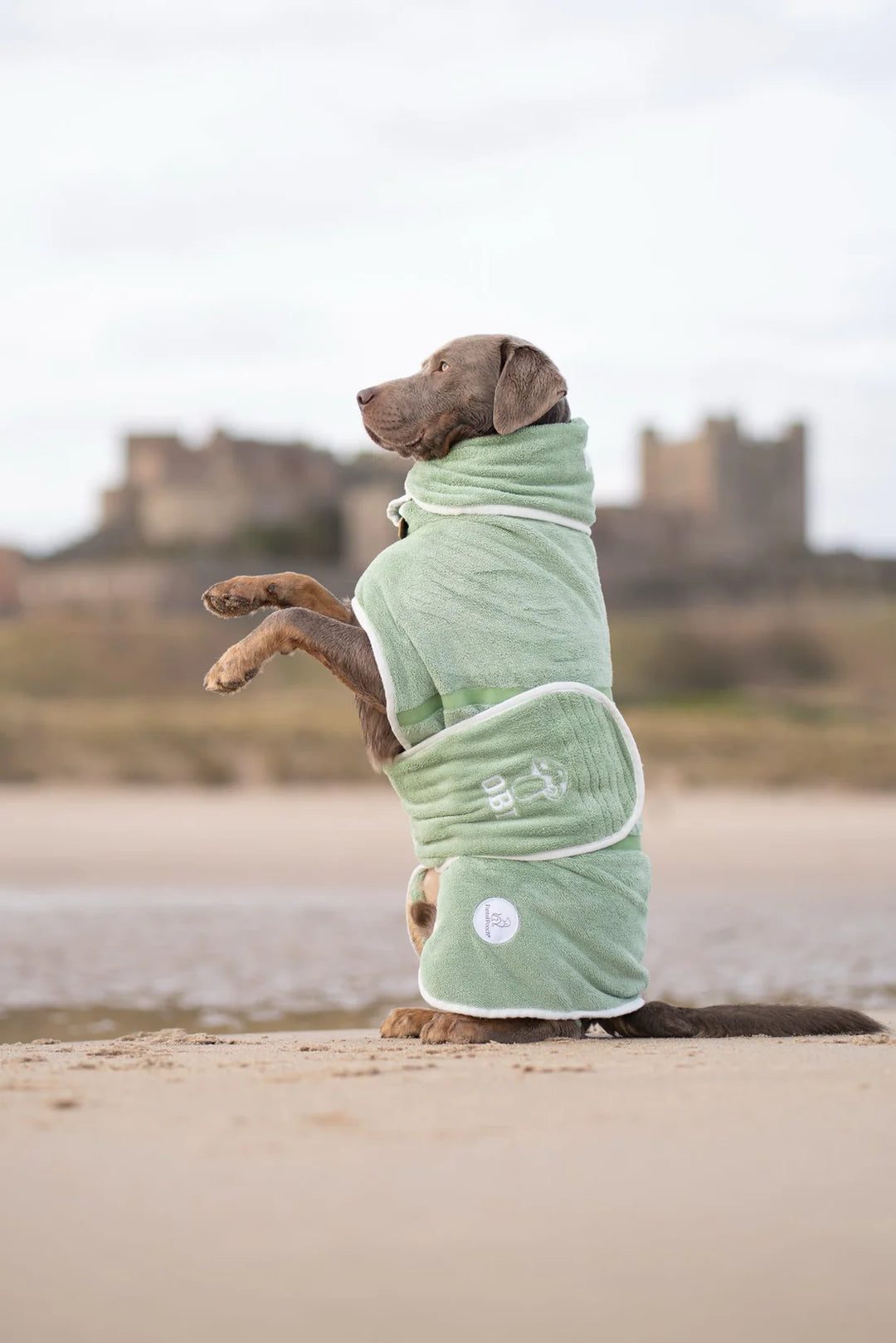 Dog Drying Coat | Sage Green
