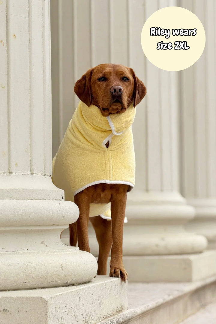Dog Drying Coat | Butter Yellow
