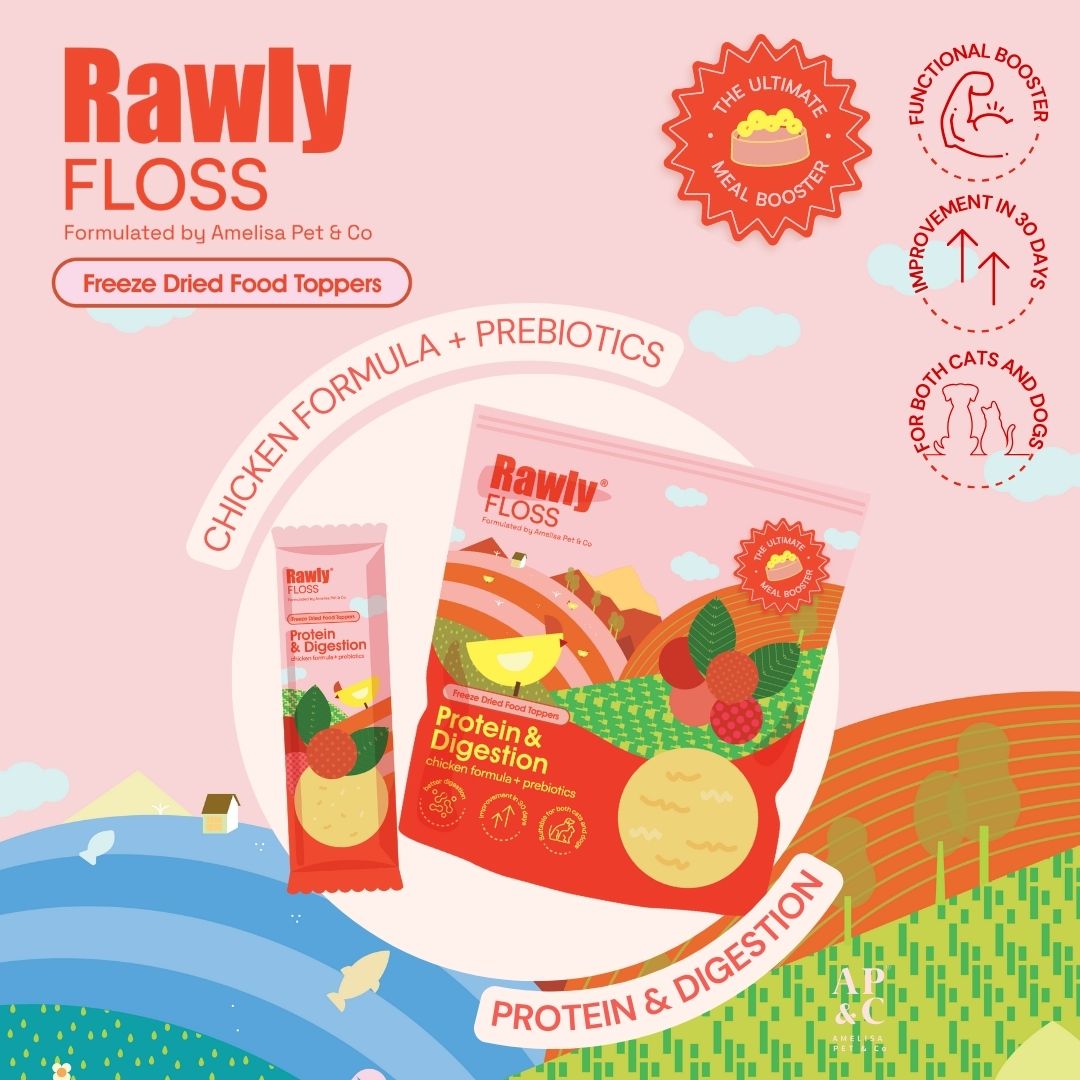 Rawly Floss Functional Topper | Protein & Digestion