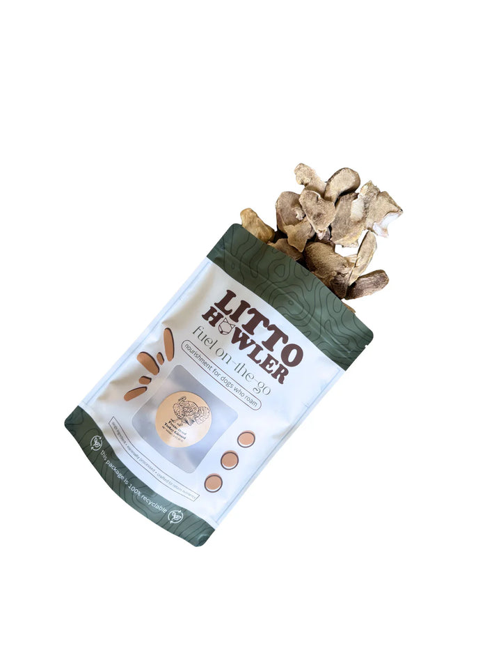 Freeze-Dried Turkey Gizzard | Litto Howler