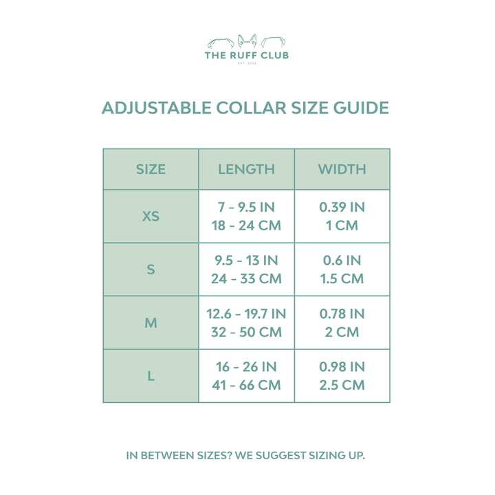 Adjustable Collar | Tide & Tail