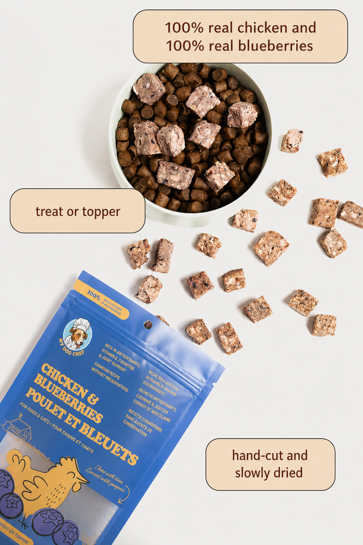 Freeze-Dried Chicken & Blueberries