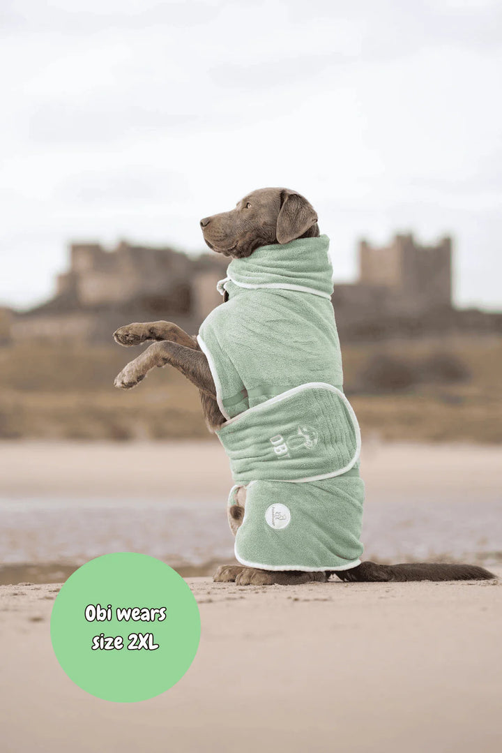 Dog Drying Coat | Sage Green