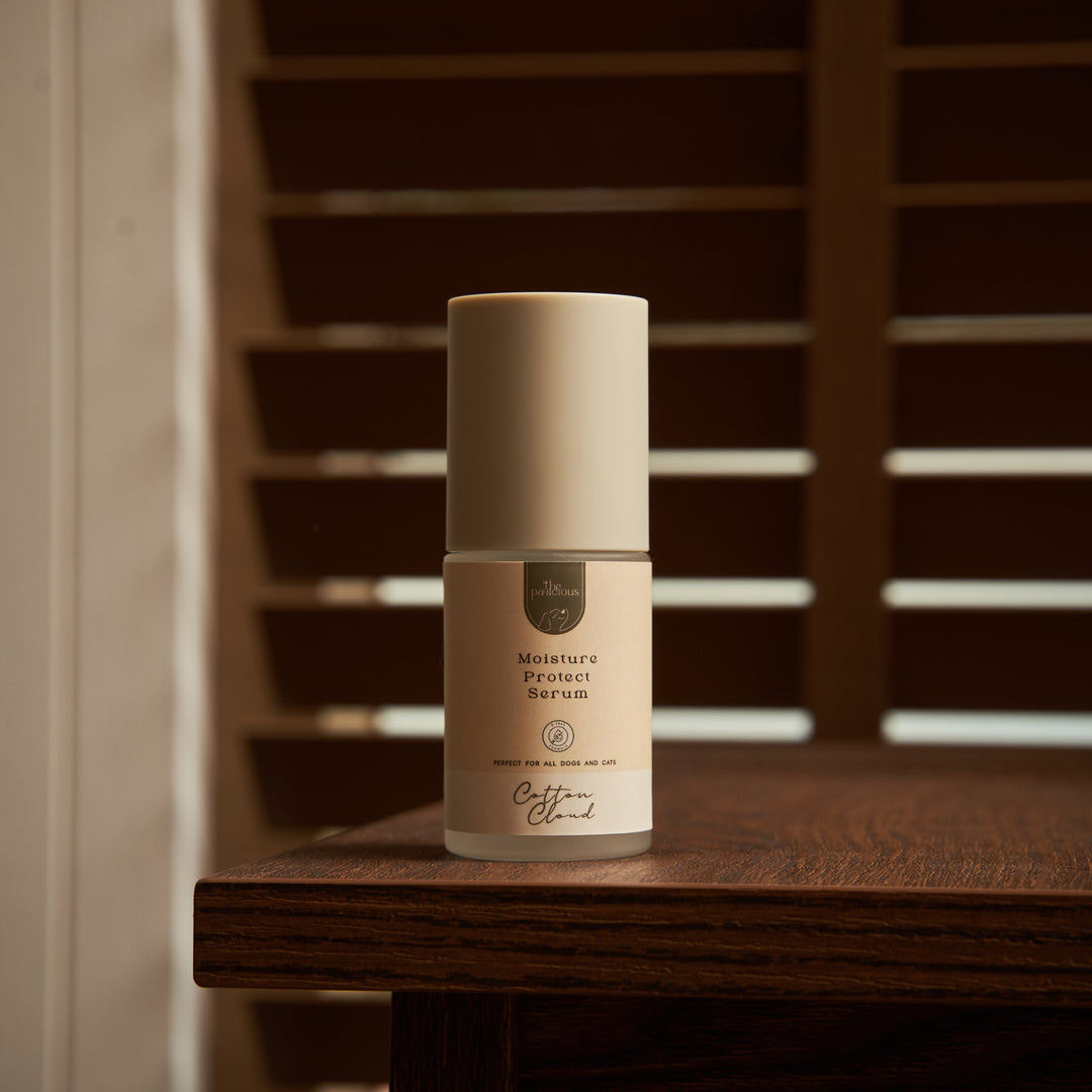 Moisture Protect Serum | Cotton Cloud