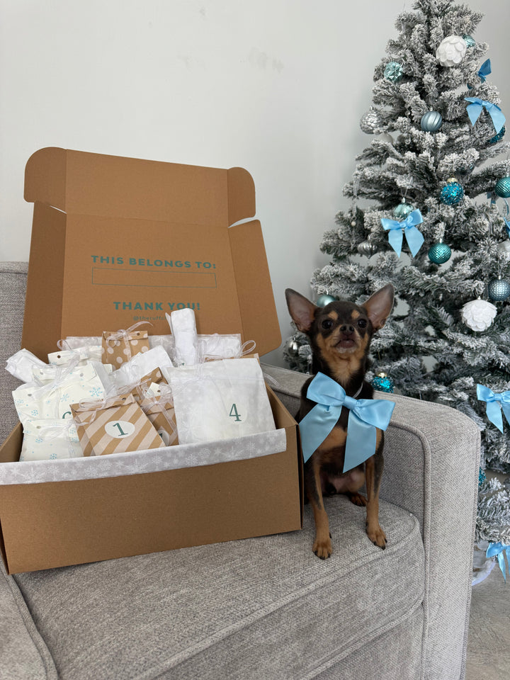 The Ruff Club 24-Day Advent Calendar | Pre-Order