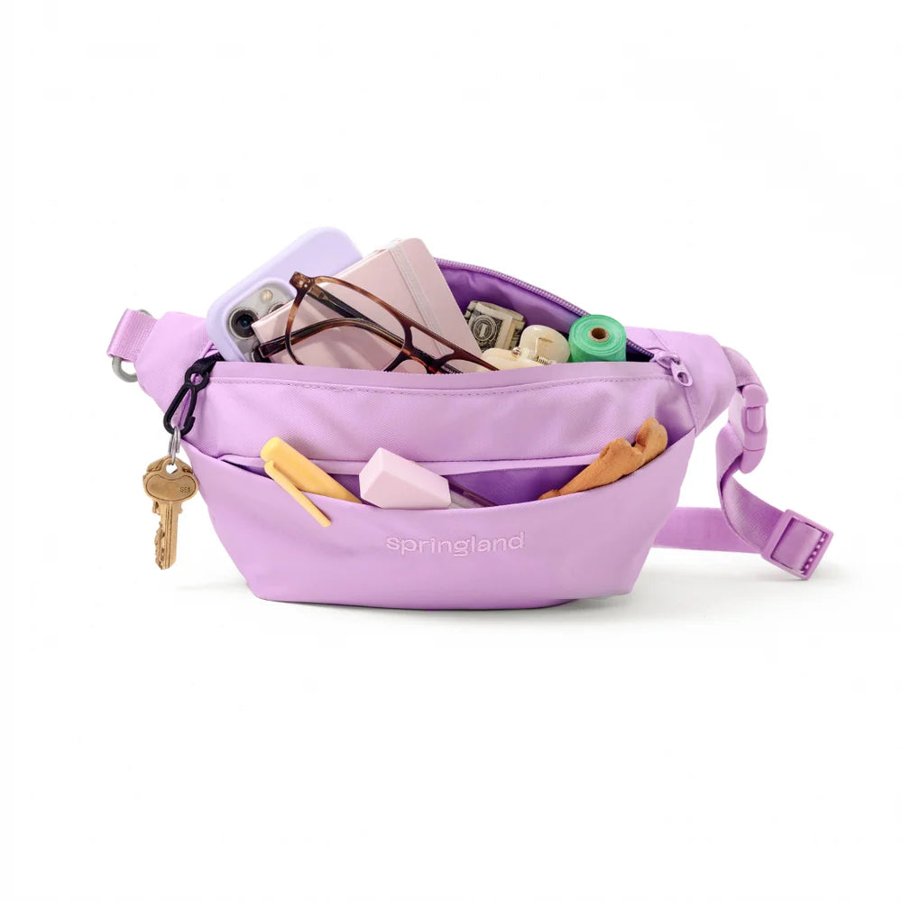 Hands-Free Dog Walking Bag with 4ft Leash