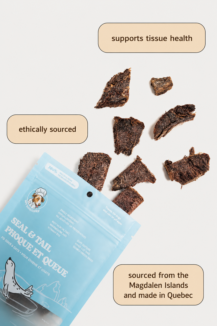 Freeze-Dried Seal Meat
