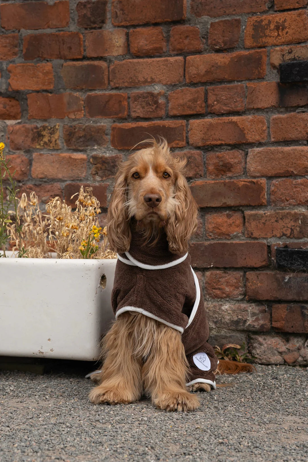 Dog Drying Coat | Espresso