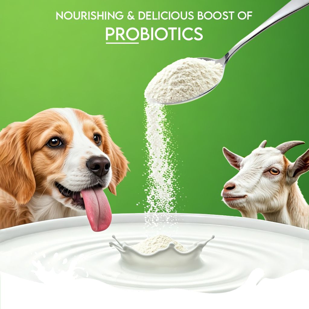 100% Natural Goat Milk Powder