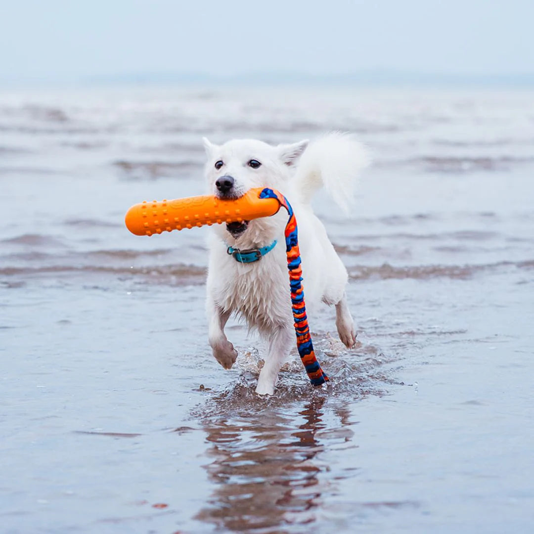 BOB: The 3-in-1 Dog Dummy