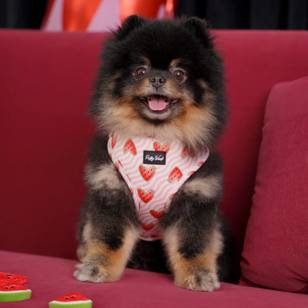 Watermelon Buttons Adjustable Harness