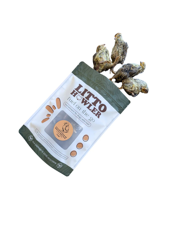 Freeze-Dried Whole Prey 2-Week Old Quail Chicks | Litto Howler