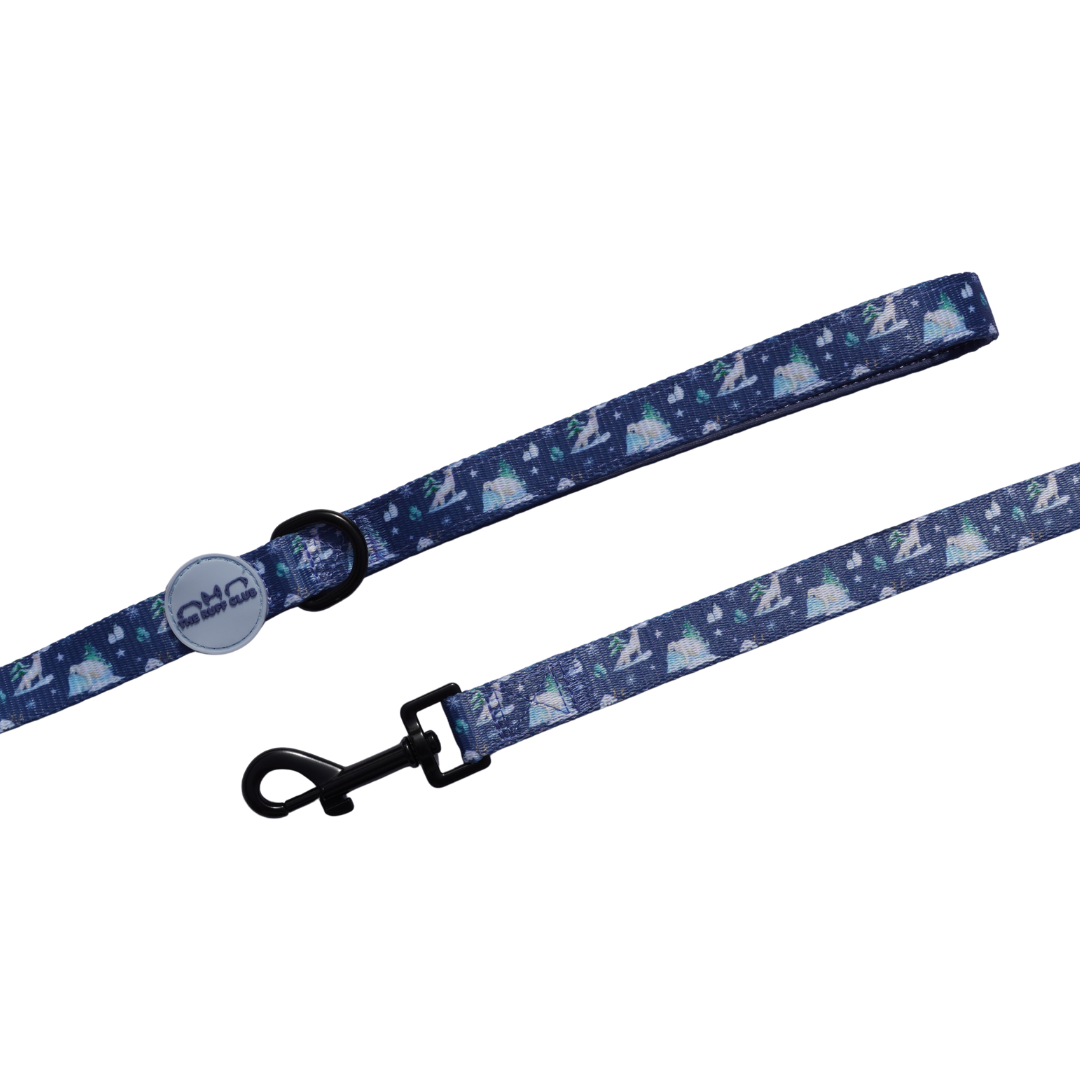Leash | Frost & Fur