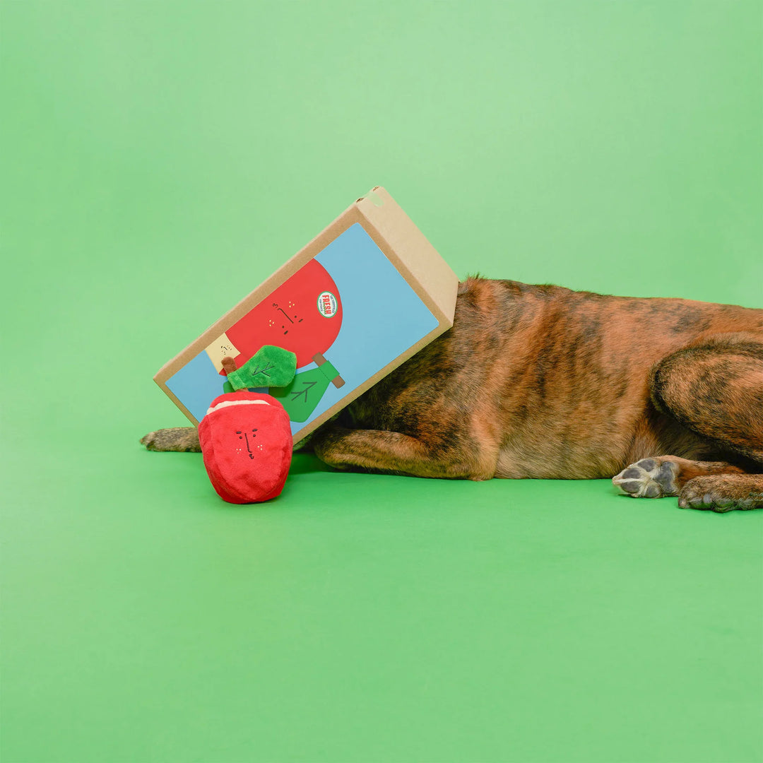 Apple Nosework Toy