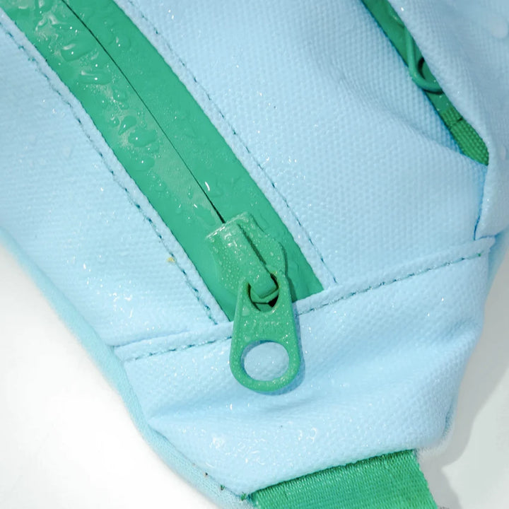 Hands-Free Dog Walking Bag with 4ft Leash