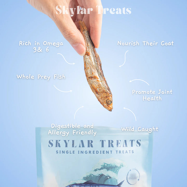 Air Dried Herring Fish