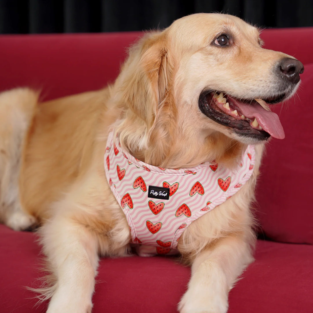 Watermelon Buttons Adjustable Harness