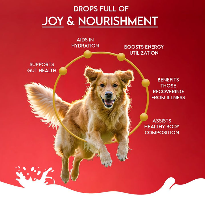 Goat Milk Powder with Pomegranate & Cranberries