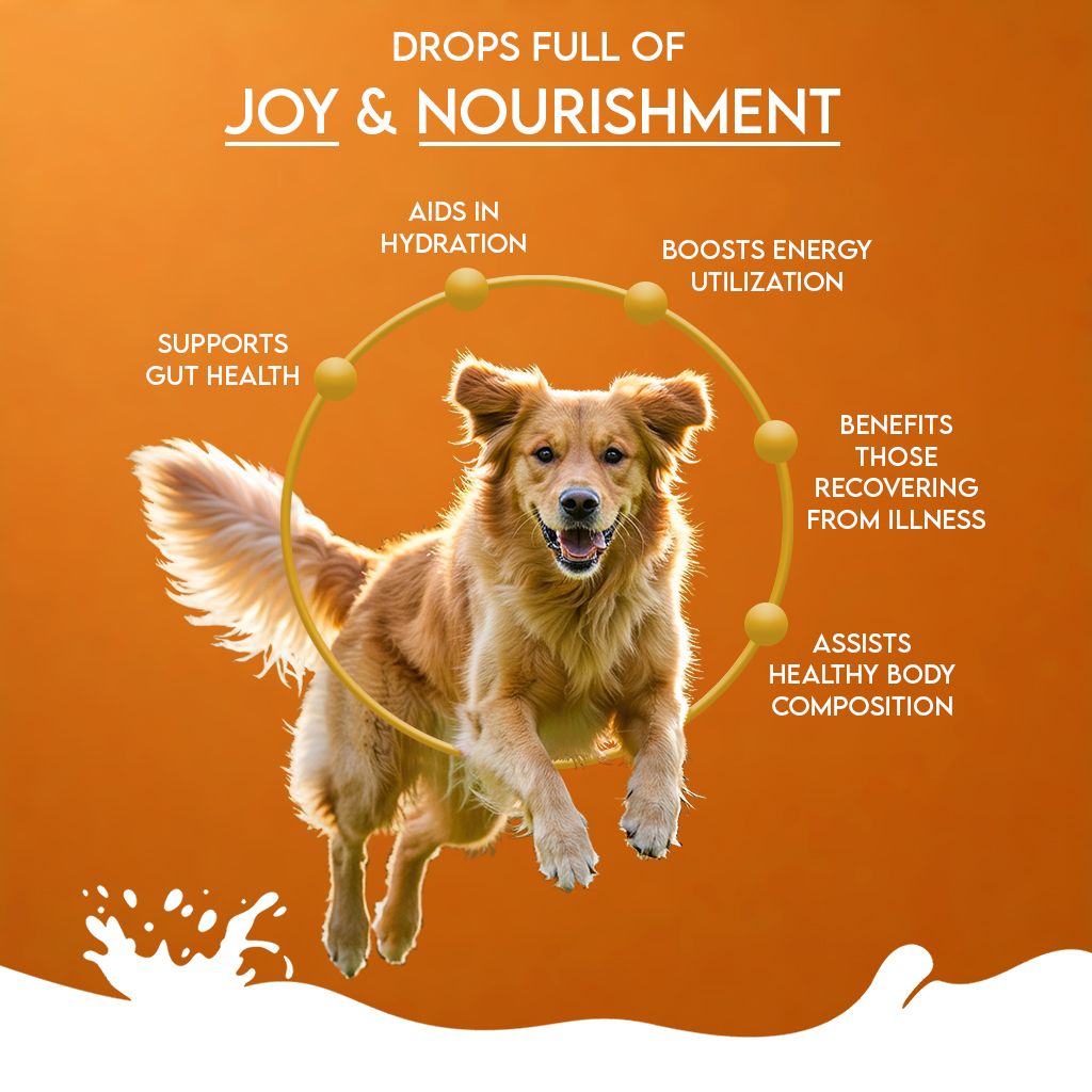 Goat Milk Powder with Pumpkin, Apple, Cinnamon & Pumpkin Seeds