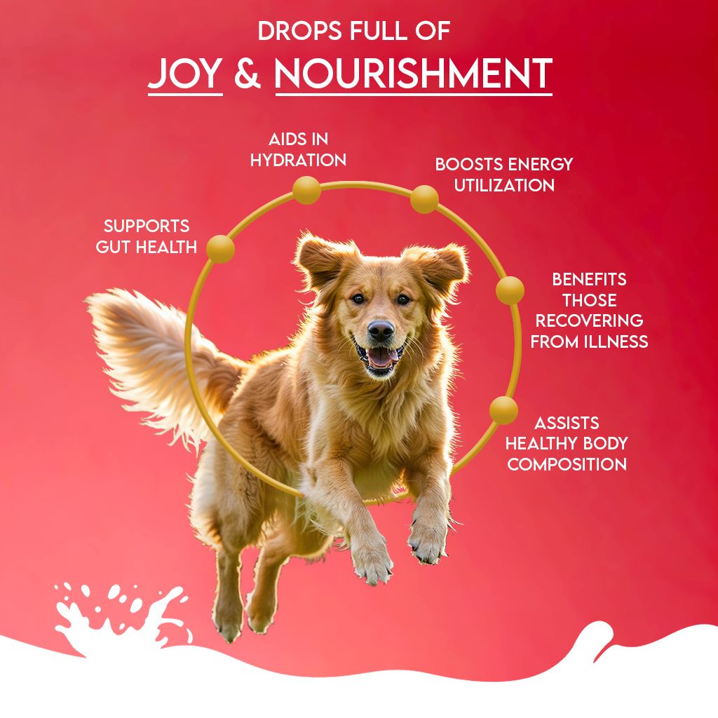 Camel Milk Powder with Apple, Coconut, Beetroot & Mint