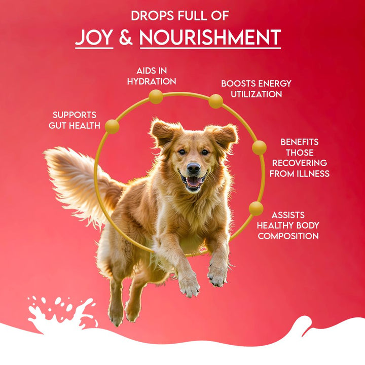 Camel Milk Powder with Apple, Coconut, Beetroot & Mint