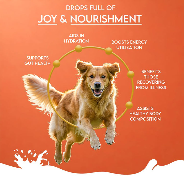 Camel Milk Powder with Papaya, Banana, Broccoli & Flaxseeds