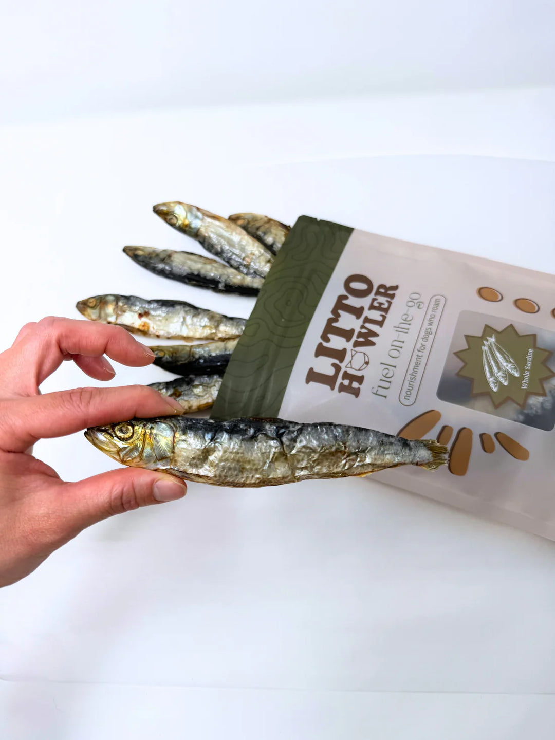 Whole Sardines