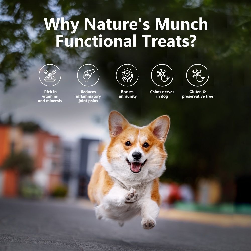 Freeze-Dried Joint Care Cheese Treat