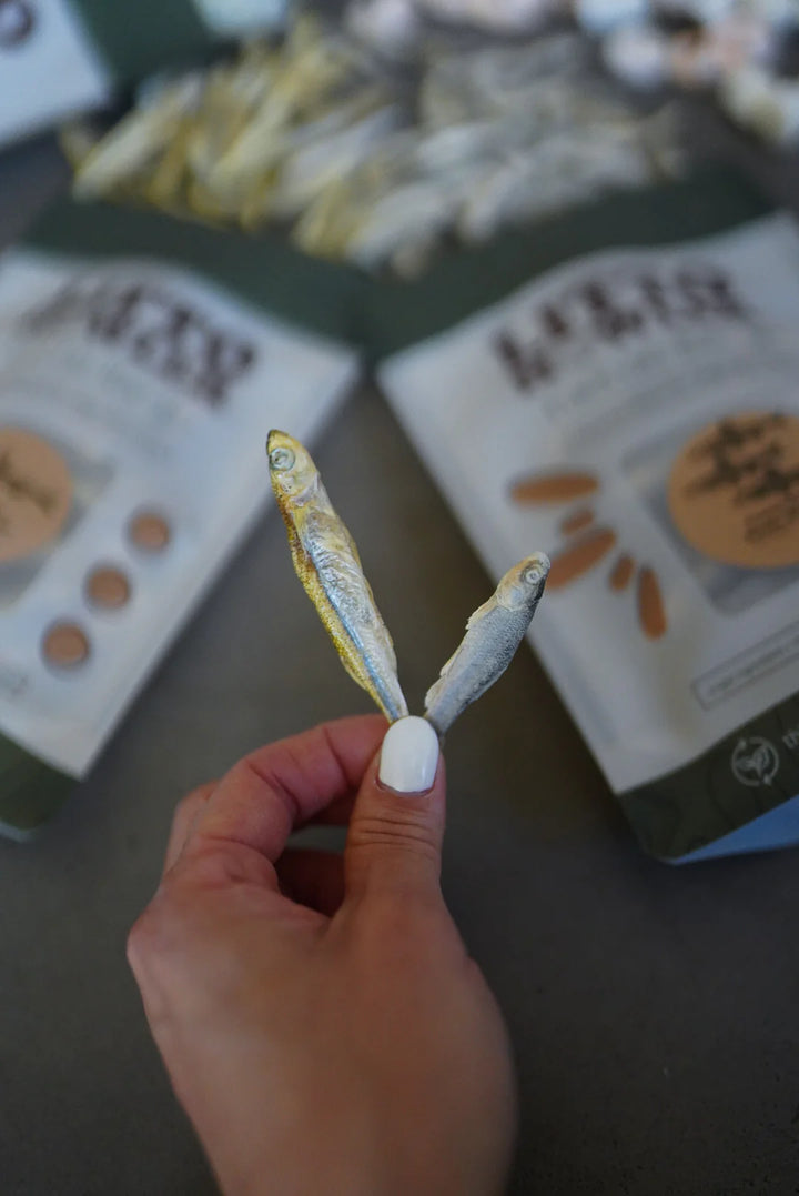 Freeze-Dried Whole Minnows | Litto Howler