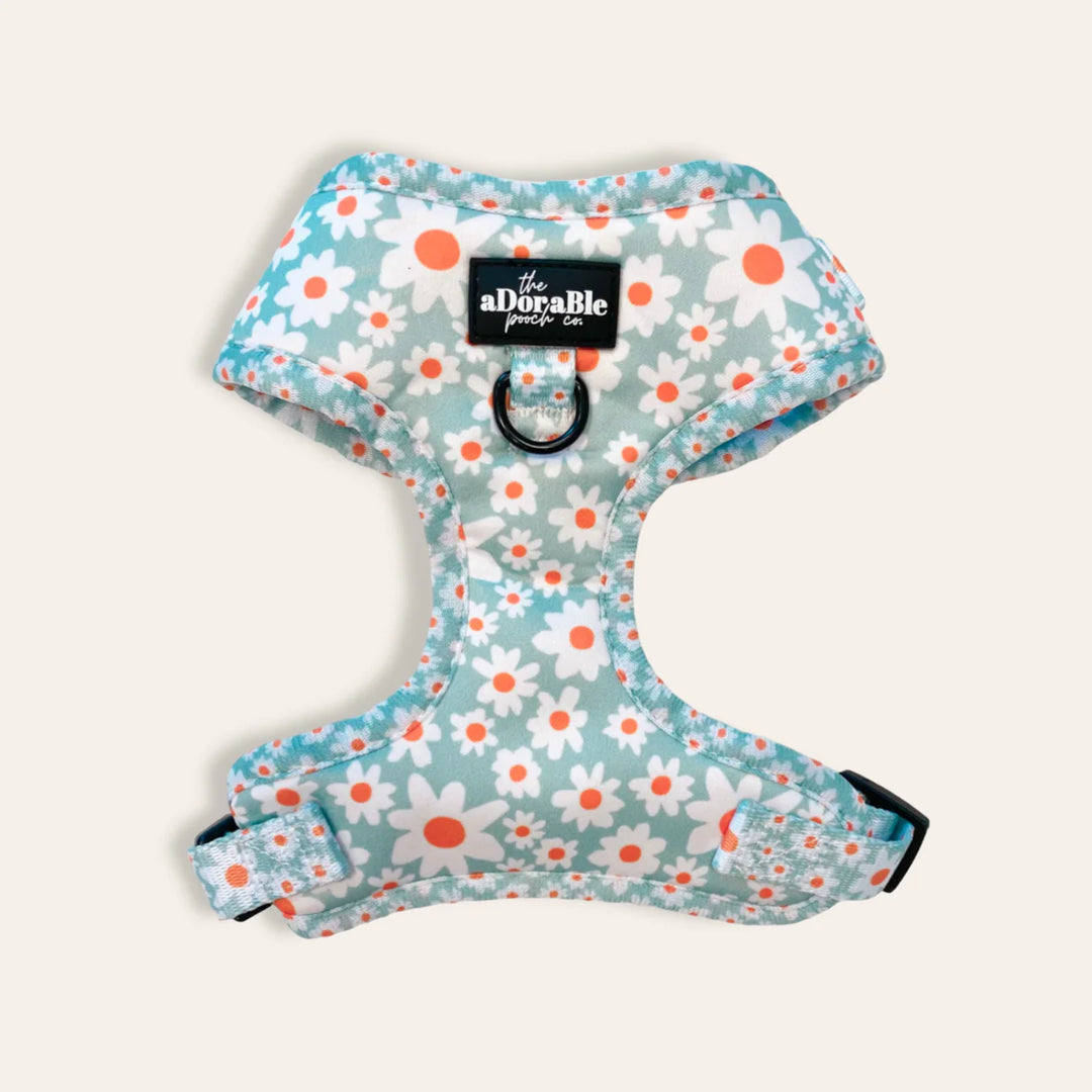 Adjustable Dog Harness | Oopsy Daisy