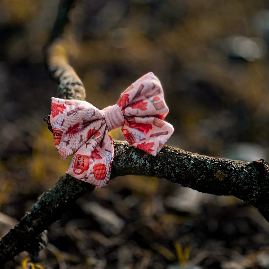 Dog Sailor Bow Tie | Pumpkin Harvest