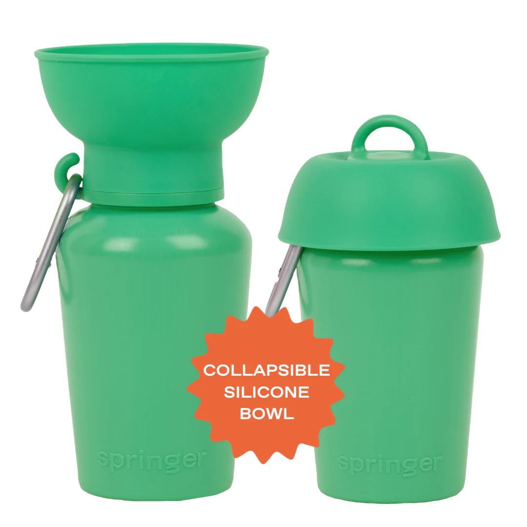 20oz Flip Dog Travel Water Bottle