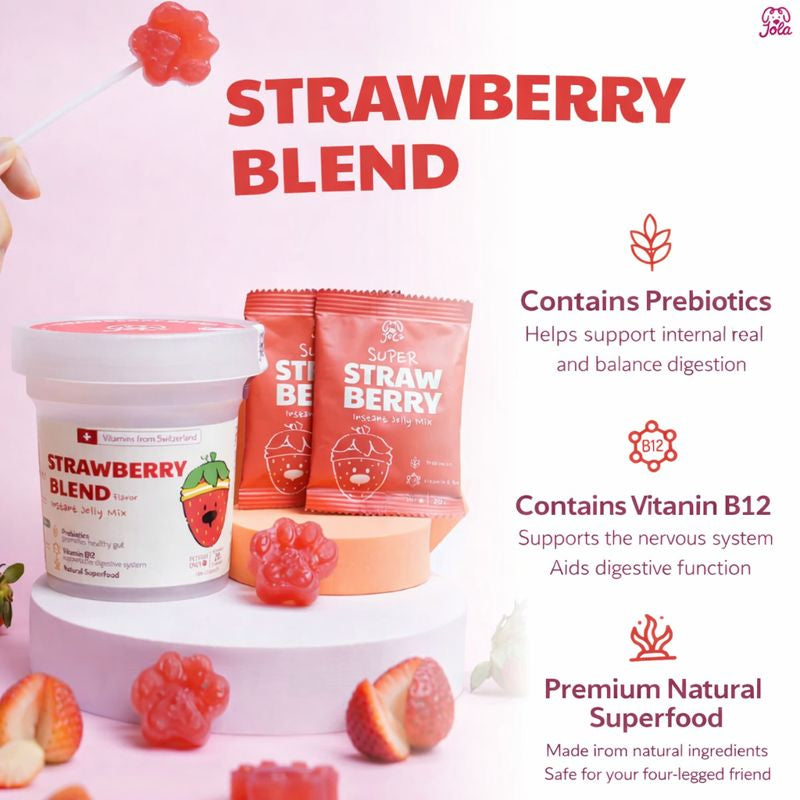 Vitamin Jelly Powder Kit | Strawberry Blend