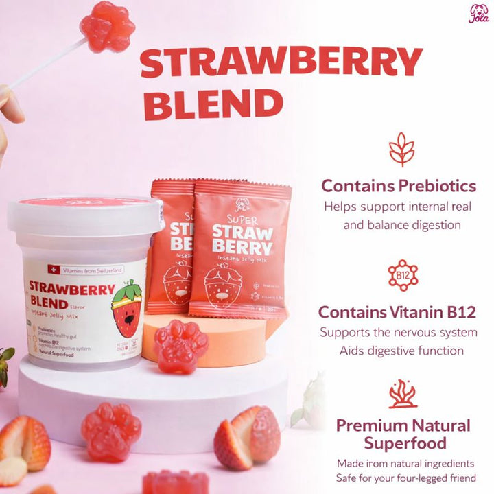 Vitamin Jelly Powder Kit | Strawberry Blend