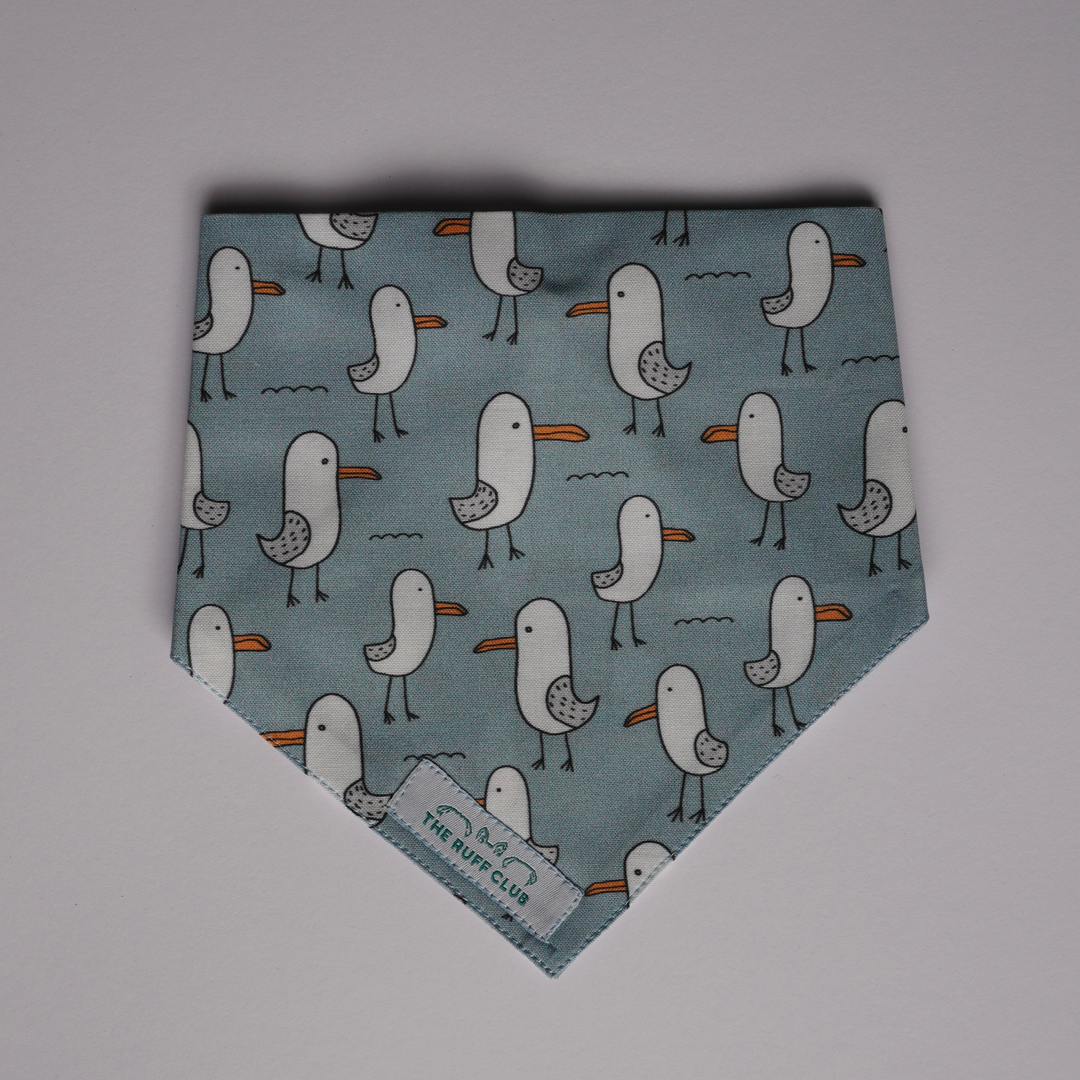 Seagull Walks | Pet Bandana Collection