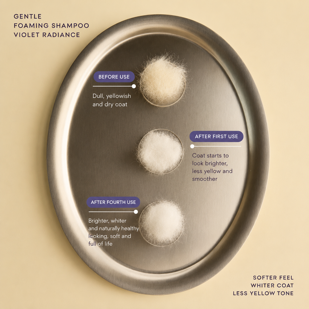 The Pawcious Whitening Foaming Shampoo | The Pawcious