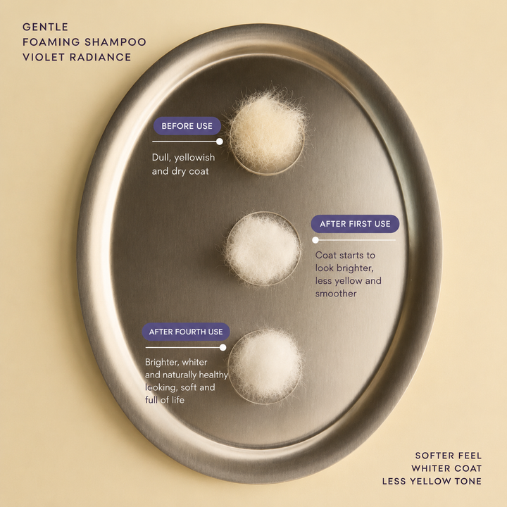 The Pawcious Whitening Foaming Shampoo | The Pawcious