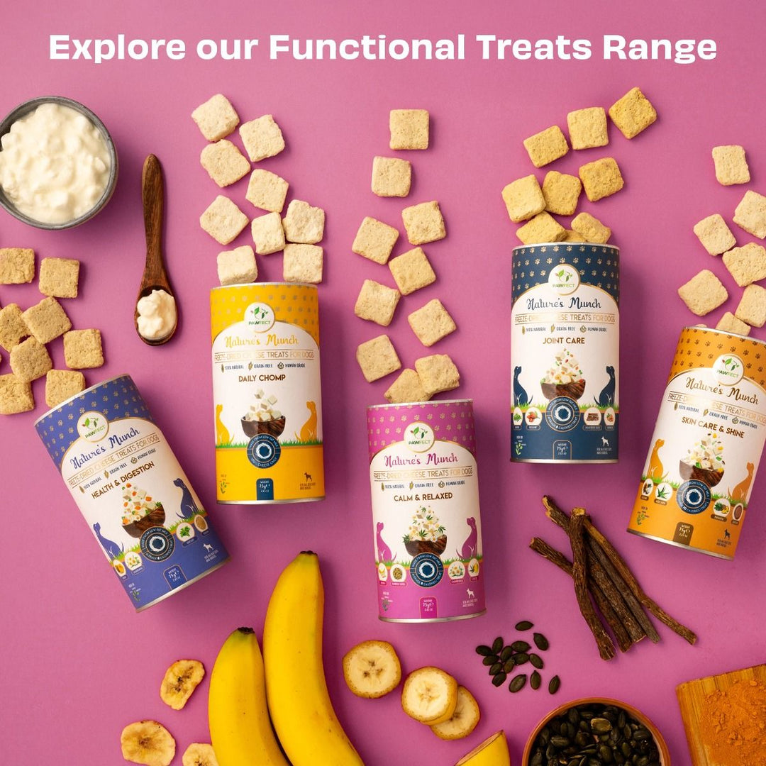 Freeze-Dried Calming Cheese Treat