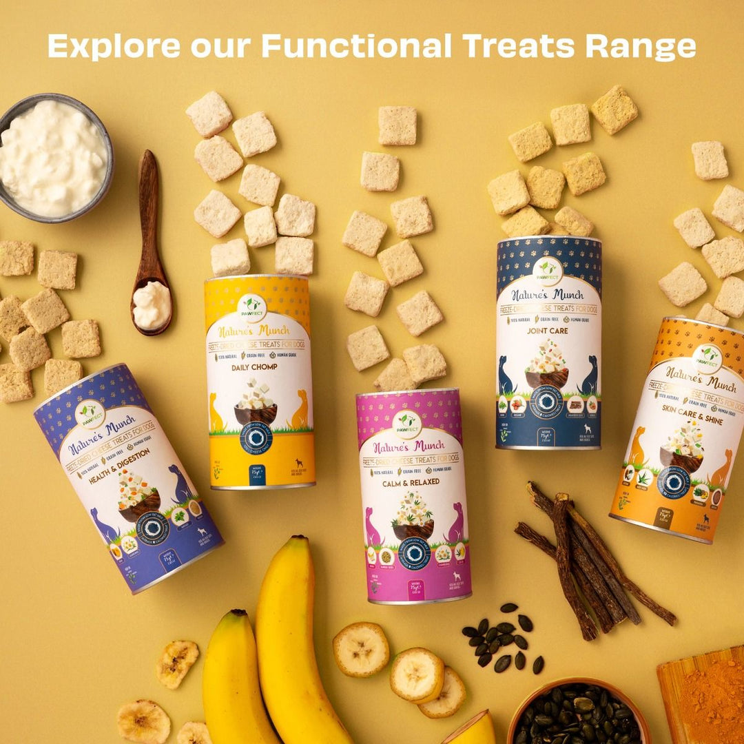 Freeze-Dried Daily Chomp Cheese Treat