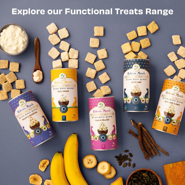 Freeze-Dried Joint Care Cheese Treat