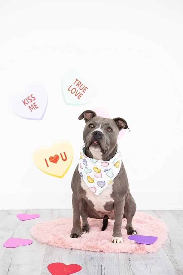 Pearhead Candy Hearts Pet Bandana - M/L