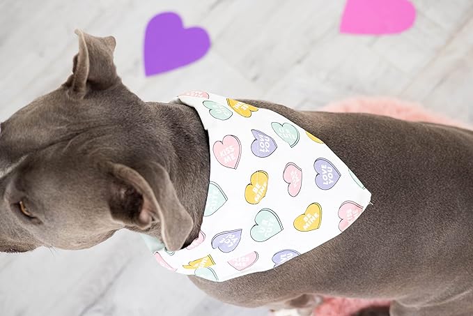 Pearhead Candy Hearts Pet Bandana - M/L